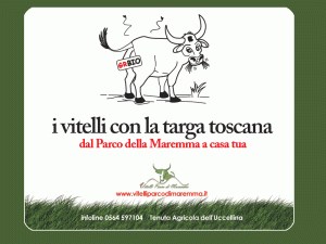 vitelliparcodimaremma