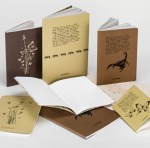 FILOROSSO-la-Feltrinelli