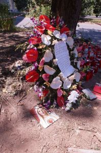 6a00e54fe524718833019b014e1703970b-500wi