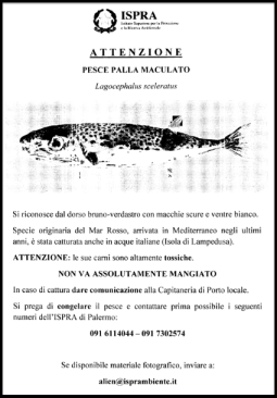 ispra-pesce-palla-manifesto-porti