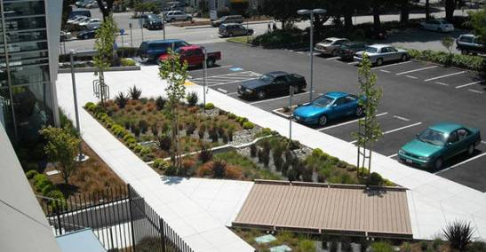 02-Rain-garden-in-Brisbane-California-USA.-Progetto-di-Nevue-Ngan-Associates