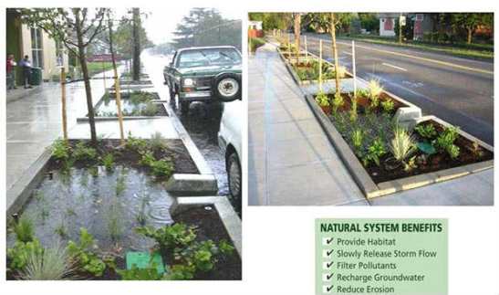 10-Rain-garden-stradale-esempio