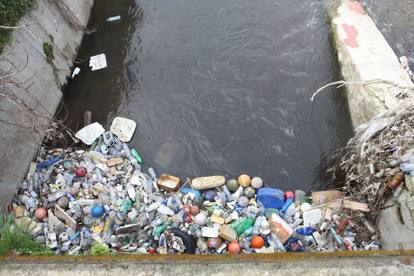 15711781_MGTHUMB-INTERNA