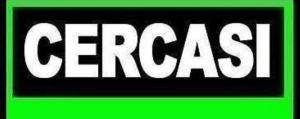 cercasi