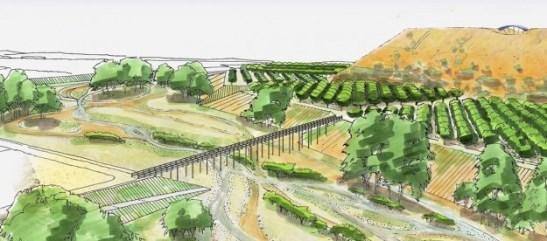 31f961ce813433926138ac108f865961-e1422960491735