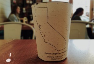 photo-original-e1424863943659