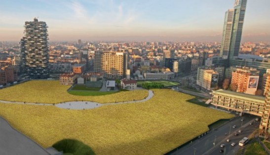 WHEATFIELDS_2-e1425395629375