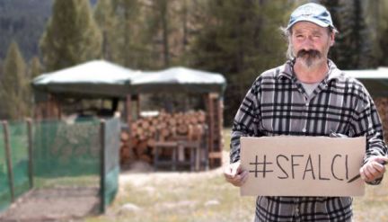 Fonte: Rinnovabili.it