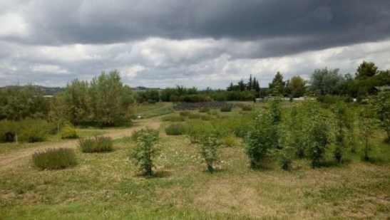 foto7-e1434988150107