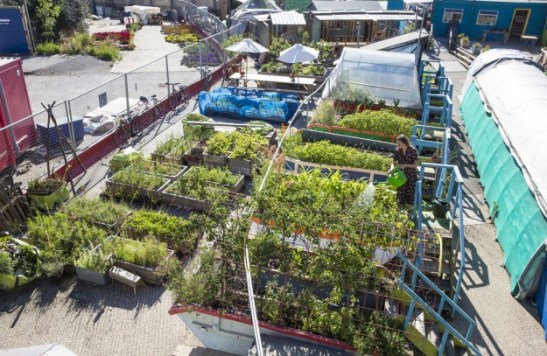 Skip-Garden-The-Bartlett-School-of-Architecture-7-e1437997058441