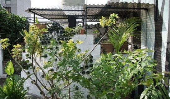 clearstudios_jewel_db_17-818x548-e1445594045217