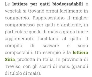 12994364_10207792046377359_6590367395082961651_n