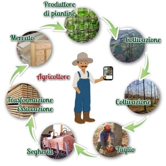 14046139_1628715490774314_2744095483770352479_n