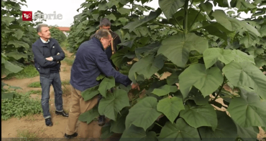 screenshot-2016-12-06-12-10-17