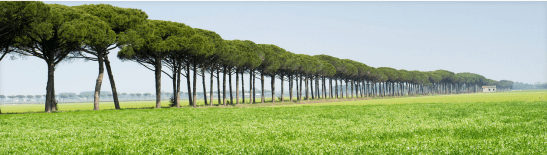 screenshot-2016-12-18-13-51-05