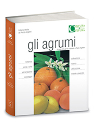 volume-gli-agrumi