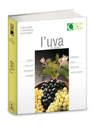 volume-uva-da-tavola