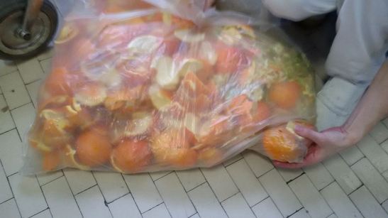 17021815_10210957272980770_5988897459340947711_n